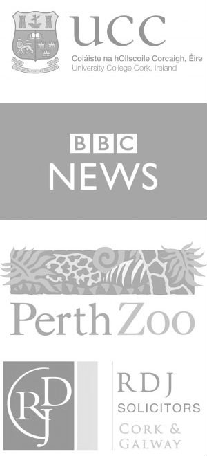 Brands I've worked with