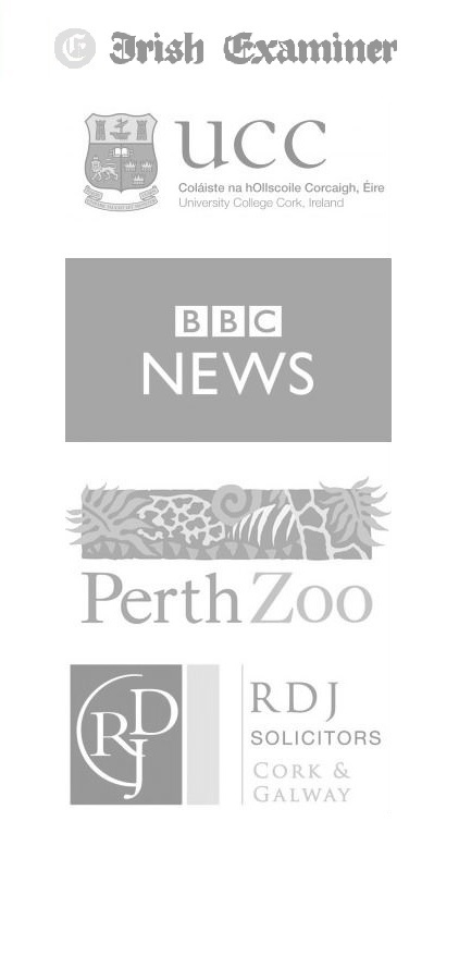 Brands I've worked with